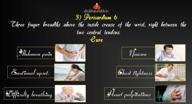 3.Pericardium 6