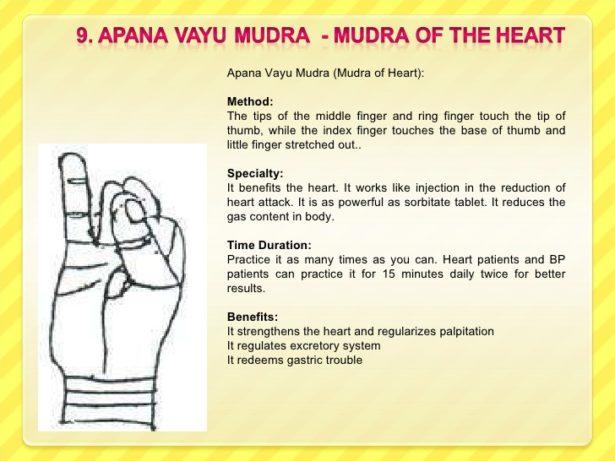 09-apana-vayu-mudra