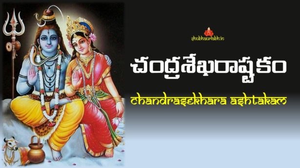 Chandrasekhara Ashtakam
