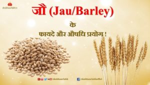 2 Health Benefits of Jau/Barley