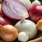 Onion / ఉల్లిపాయ
