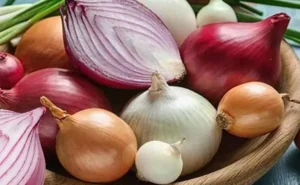 Onion / ఉల్లిపాయ Onion / ఉల్లిపాయ