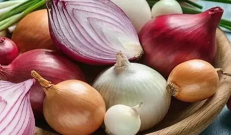 Onion / ఉల్లిపాయ