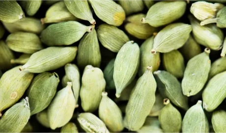 Cardamom / యాలకులు