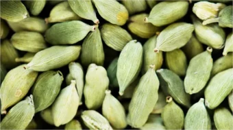 Cardamom / యాలకులు